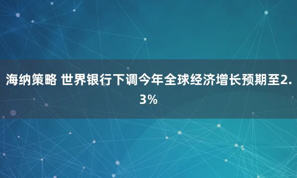 海纳策略 世界银行下调今年全球经济增长预期至2.3%